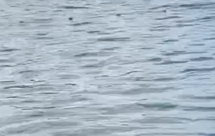 Déplacement à Rosières aux Salines pour la dernière journée de championnat de Kayak polo 