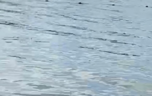 Déplacement à Rosières aux Salines pour la dernière journée de championnat de Kayak polo 